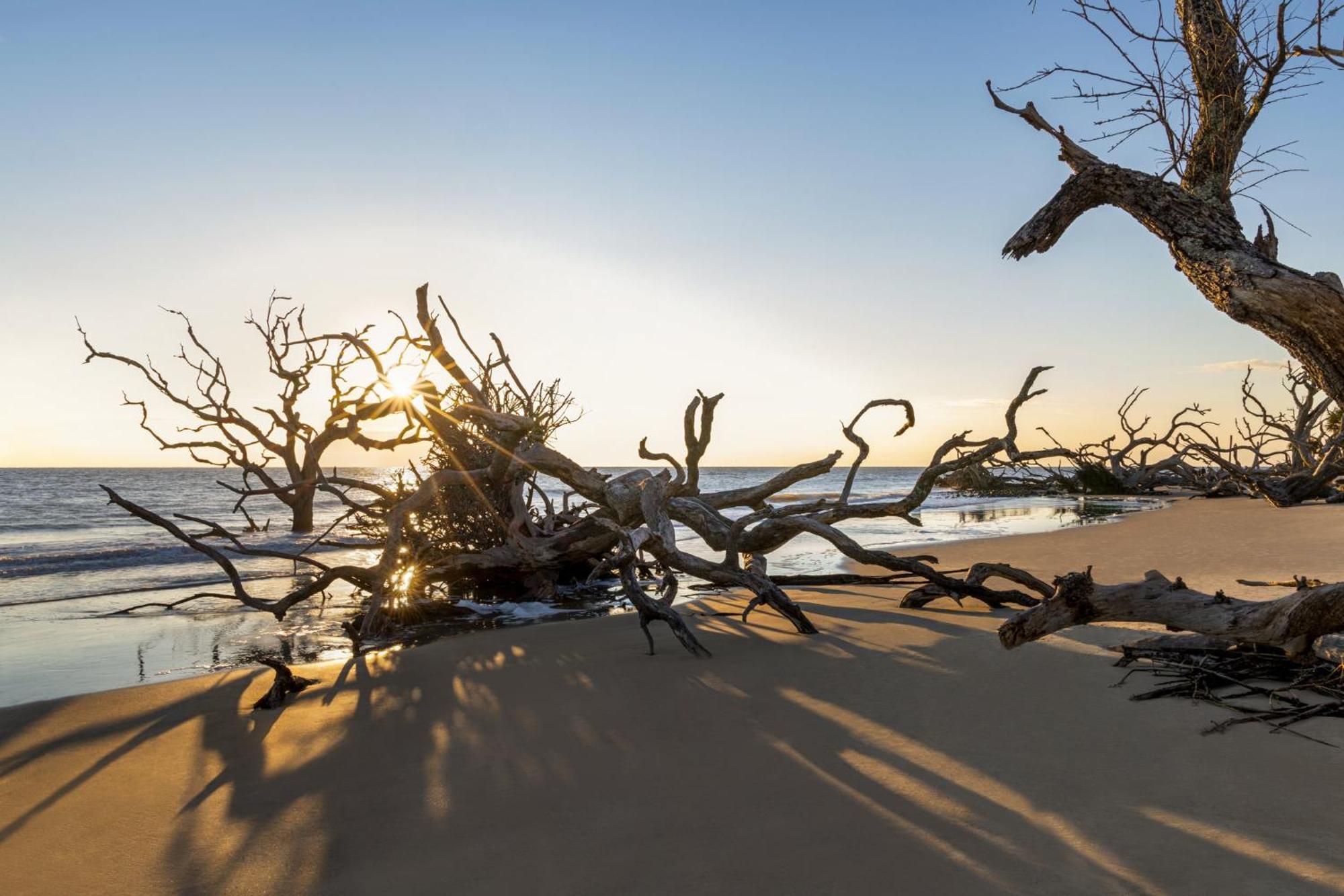 Holiday Inn Resort Jekyll Island By Ihg Exterior photo