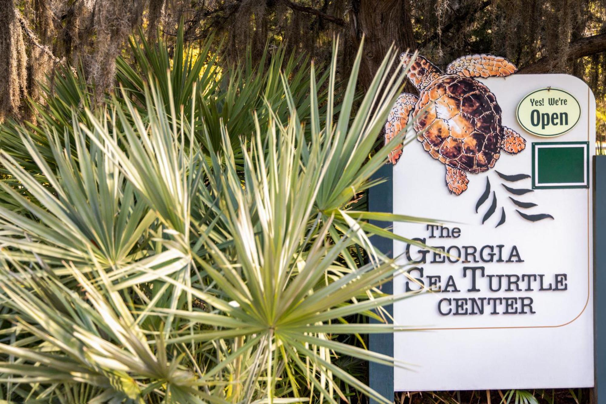 Holiday Inn Resort Jekyll Island By Ihg Exterior photo